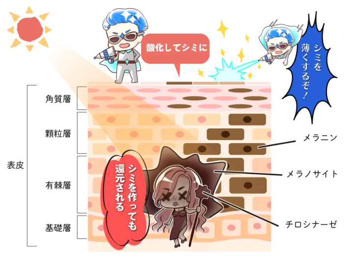 ハイドロキノン_還元作用