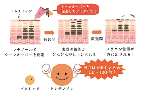 トレチノインの主な効果-1