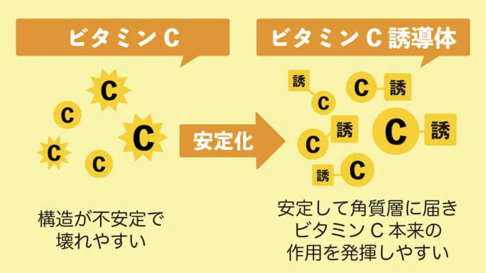 ビタミンcと誘導体